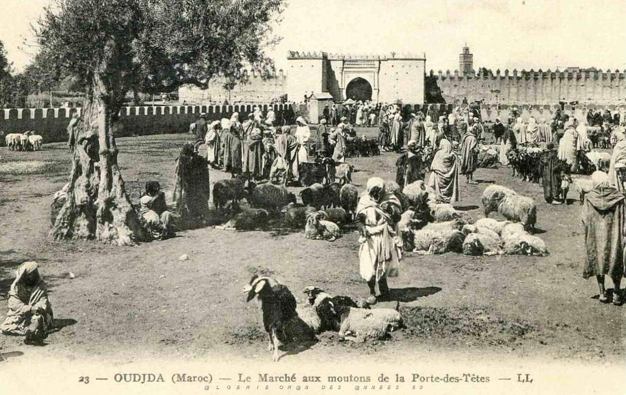 BIVEN Georges - 236- Oujda.jpg